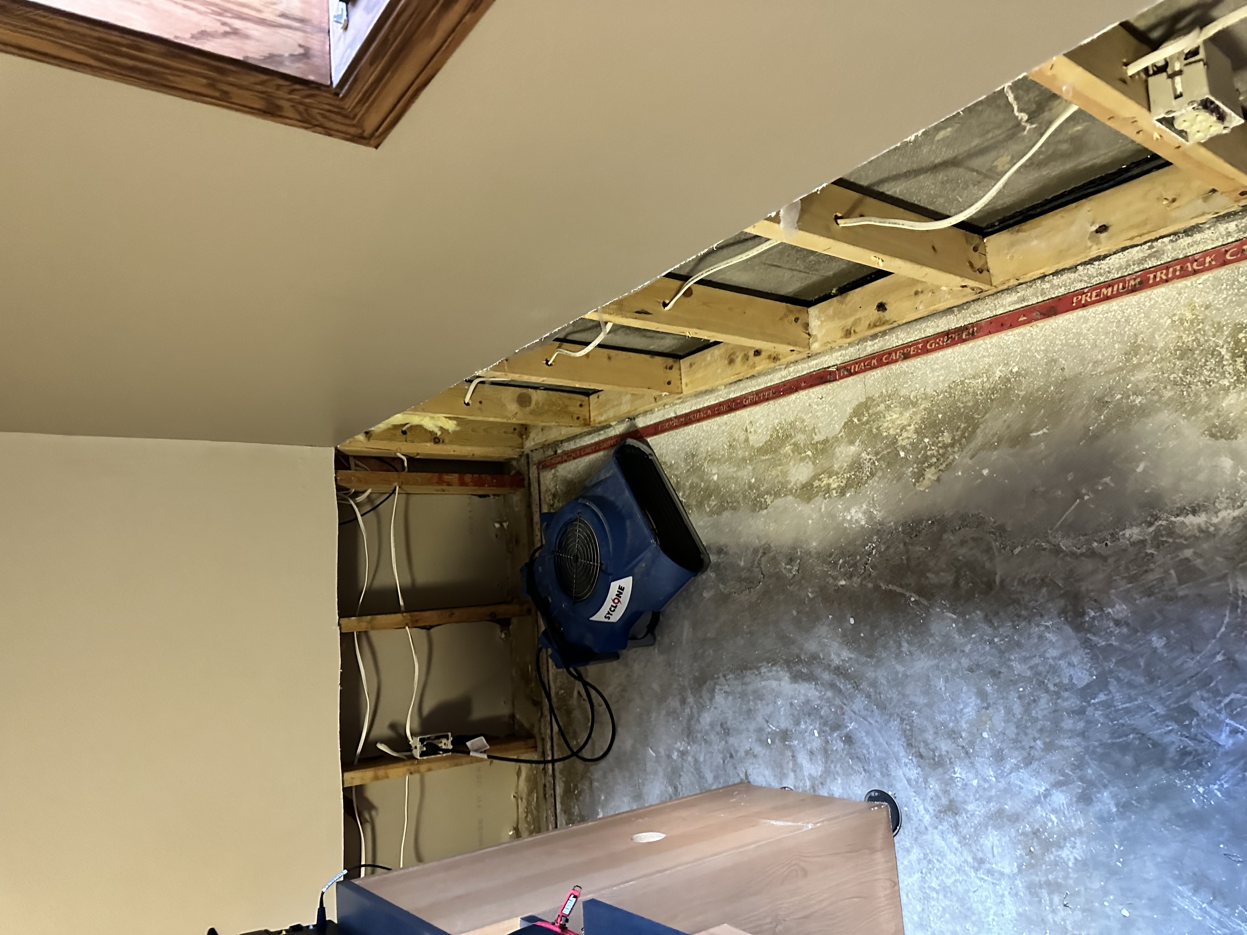 Basement area with exposed wall framing and blue air mover fan positioned for structural drying with visible water damage to concrete surfaces