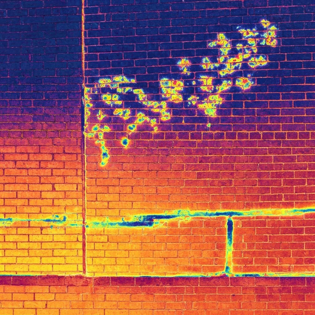 Thermal imaging camera detecting hidden moisture in walls